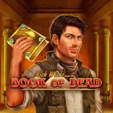 Book of Dead logo by Play'n GO VemaBet Casino